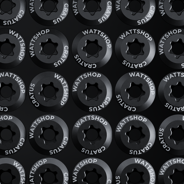 2x Steel Chainring Bolts